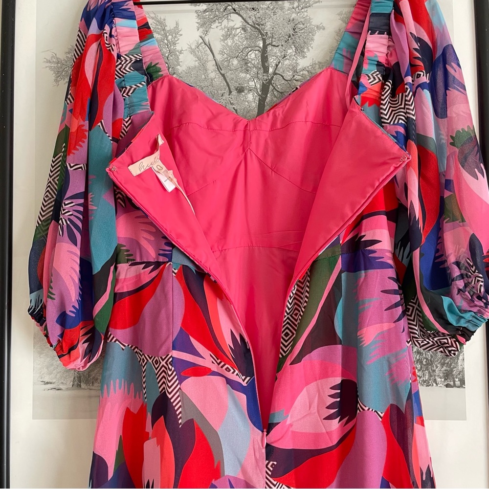 Hutch Louisa Dress Pink Multicolor Chiffon Maxi Size 0 NWT - Picture 15 of 17